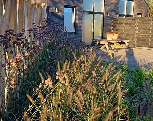 Guest house 446102 - Holiday property West Brabant - Vakantiehuis in Galder