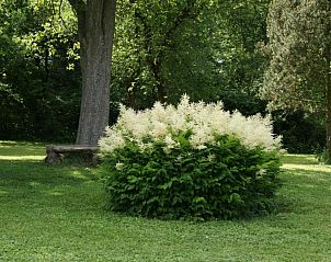 Verblijf 4802501 - Vakantiewoning Eifel / Moezel / Hunsrück - Landgasthof Em Lade