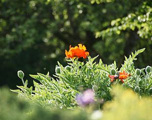 Verblijf 4802501 - Vakantiewoning Eifel / Moezel / Hunsrück - Landgasthof Em Lade