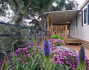 Guest house 4815029 - Apartment Costa Brava - Camping Roca Grossa