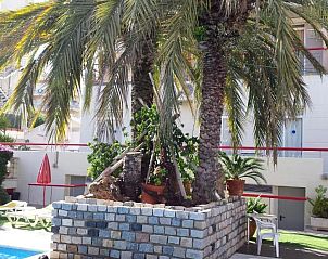 Guest house 4815044 - Apartment Costa Brava - Apartaments Mar Blau - Pets friendly