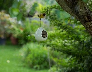 Guest house 4827222 - Holiday property West-Kaap - In Abundance Guest House