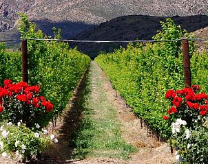 Verblijf 4827224 - Chalet West-Kaap - Bon Accord Farm Cottages