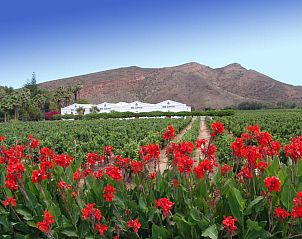 Verblijf 4927201 - Vakantiewoning West-Kaap - GuBas De Hoek meet eat sleep