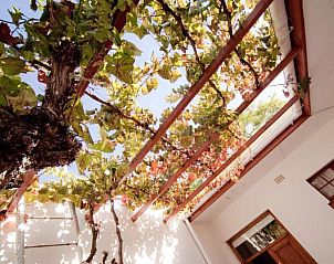 Verblijf 4927201 - Vakantiewoning West-Kaap - GuBas De Hoek meet eat sleep