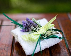 Verblijf 4927201 - Vakantiewoning West-Kaap - GuBas De Hoek meet eat sleep