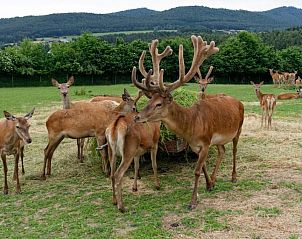 Guest house 5003301 - Apartment Bavaria - Panorama-Hotel am See