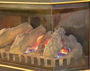 Sfeervolle open haard in Hosta vakantiehuis in Ootmarsum, Twente voor een gezellige ambiance.