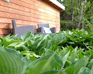 Verblijf 520204 - Vakantiewoning Twente - Hosta