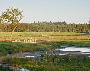 Guest house 520911 - Holiday property Twente - Vakantiehuisje in Hezingen