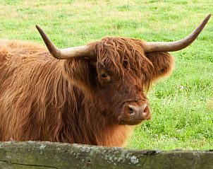 Guest house 520911 - Holiday property Twente - Vakantiehuisje in Hezingen