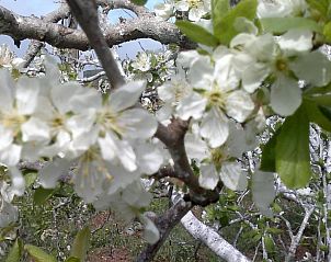 Verblijf 5214428 - Vakantiewoning Canarische Eilanden - Casa Fátima Valle Gran Rey