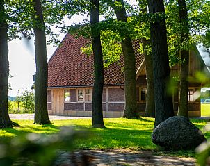 Vakantiehuisje in Tilligte, Twente, verscholen tussen hoge bomen, biedt een serene en natuurlijke omgeving.