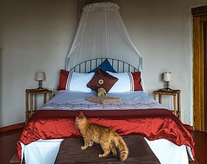 Verblijf 5226404 - Vakantiewoning Oost-Kaap - Delicious Monster Accommodation