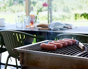 Barbecue op het terras van Heeckeren vakantiehuis in Enter, Twente.