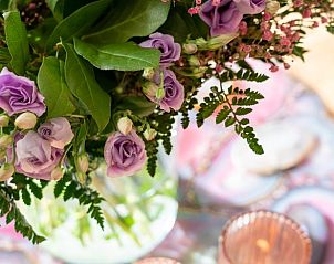 Guest house 523304 - Holiday property Twente - Huisje in Albergen