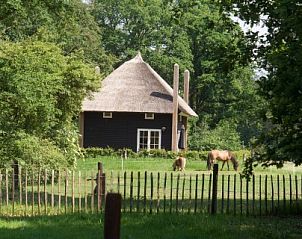 Landelijke setting van De Klaproos met Hottub, Notter, Twente, vakantiehuis met paarden.