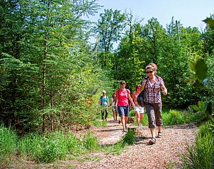 Verblijf 523831 - Vakantiewoning Twente - Vakantiehuis Boomgaard