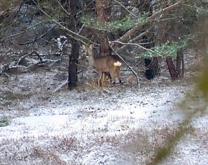 Fietsen in de groene omgeving van vakantiehuis Manderveen, ontdek de natuur van Twente, Overijssel.