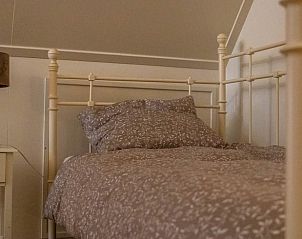 Boswandeling in de omgeving van vakantiehuis Manderveen, ontdek de natuur van Twente.