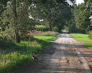 Kinderen genieten van de zon bij vakantiehuis Manderveen, een gezinsvriendelijke bestemming in Twente.