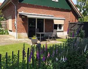 Charmant terras bij Lutke Disserot vakantiehuis in Lattrop, Twente met kleurrijke bloemen.