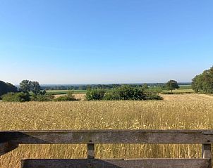 Uitzicht over graanvelden bij Vakantiehuisje in Agelo, Twente, Overijssel.