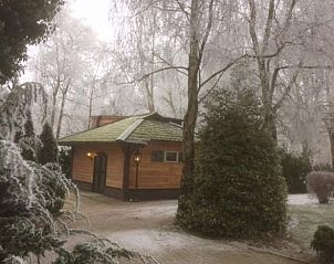 Sneeuwlandschap bij vakantiehuis in Vroomshoop, Twente, omgeven door winterse charme.