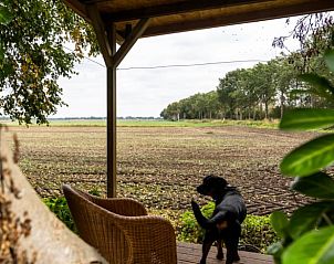 Schitterend uitzicht vanaf terras in vakantiehuis in Vroomshoop, Twente.