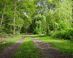 Guest house 526601 - Holiday property Twente - Vakantiehuis in Beckum