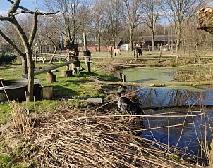 Guest house 527201 - Holiday property Twente - Huisje in Vriezenveen