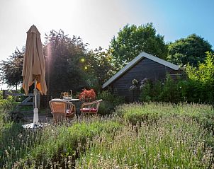 Rustige zithoek in de tuin van Huisje in Broekland, Salland, Overijssel.