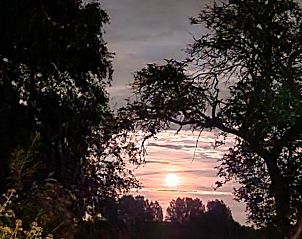 Guest house 530306 - Holiday property Salland - Huisje in Schalkhaar