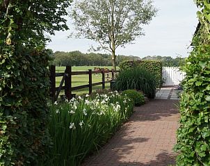 Pittoresk pad met uitzicht op weilanden bij vakantiehuis in Nieuw Heeten, omgeven door natuur in Salland, Overijssel.