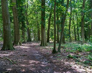Gezellig terras met parasol bij vakantiehuis Regge en Weidezicht Marle, Salland, Overijssel.
