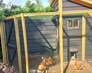 Unterkunft 540152 - Ferienhaus Vechtstreek - Het Ommetje Ommen