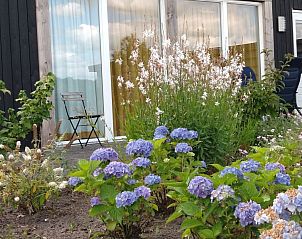 Terras van De Bosuil in Punthorst, Vechtstreek, met kleurrijke bloemen en comfortabele zitgelegenheid.