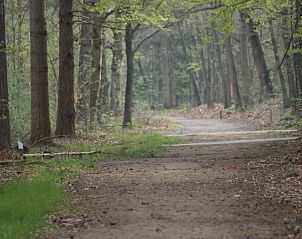 Verblijf 540163 - Vakantiewoning Vechtstreek - De Bosuil