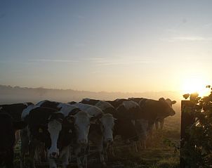 Verblijf 540163 - Vakantiewoning Vechtstreek - De Bosuil