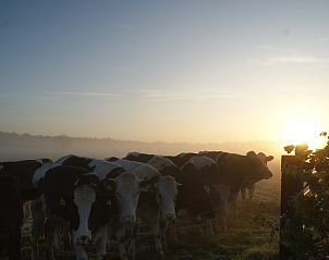 Verblijf 540164 - Vakantiewoning Vechtstreek - De Buizerd