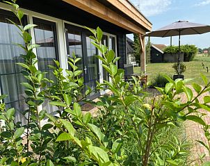 Guest house 540503 - Holiday property Vechtstreek - hof van lenthe