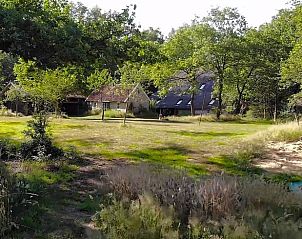 Uitgestrekte tuin rondom Vakantiehuis in Lemele, Archem, in de Vechtstreek, Overijssel.