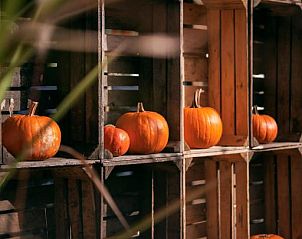 Guest house 5412101 - Apartment Polaland South - Hotel Kotarz Spa&Wellness