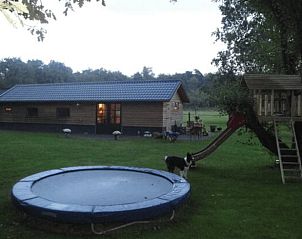 Speeltuin en trampoline bij Huisje in Giethmen, vakantiehuis in groene omgeving, Overijssel.