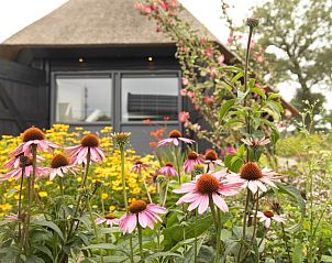 Verblijf 542629 - Vakantiewoning Vechtstreek - 't Schoapnschot