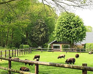 Verblijf 543405 • Vakantiewoning Vechtstreek • Vakantiehuisje in Lemelerveld 