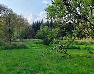 Groene omgeving van Vakantiehuis in Dedemsvaart, vakantiehuis in Vechtstreek, Overijssel, omringd door bomen.