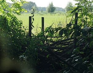 Prachtig uitzicht op de groene omgeving vanuit Vakantiehuisje in Dedemsvaart, gelegen in de Vechtstreek, Overijssel.