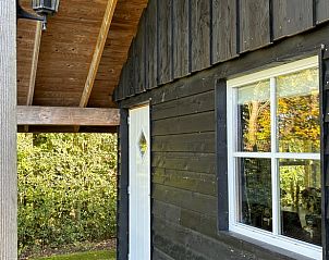 Bloemenpracht bij Vakantiehuisje in Witharen, natuur in de Vechtstreek, Overijssel.