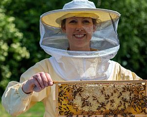 Imkerij-ervaring in Huisje in Collendoorn, Vechtstreek. Vakantiehuis met unieke activiteiten in Overijssel.